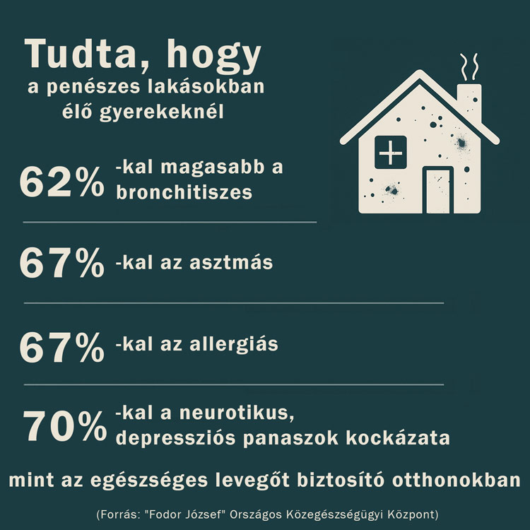 Tudta, hogy a penészes lakásokban élő gyermekek megbetegedési kockázata jelentősen magasabb?